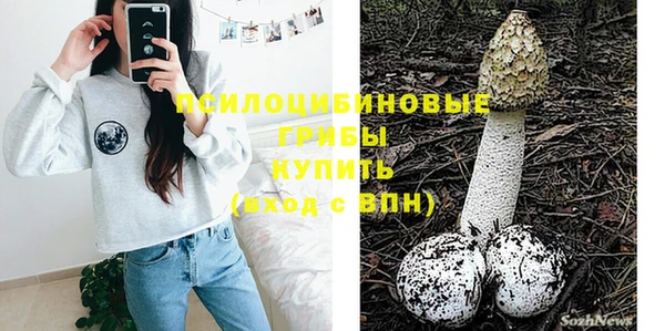 молекула духа Горняк