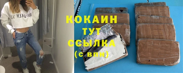 молекула духа Горняк