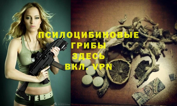 ПСИЛОЦИБИНОВЫЕ ГРИБЫ Горнозаводск