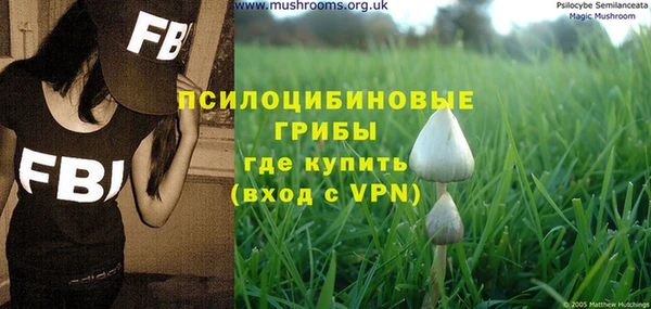 молекула духа Горняк