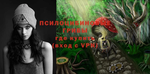 ПСИЛОЦИБИНОВЫЕ ГРИБЫ Горнозаводск