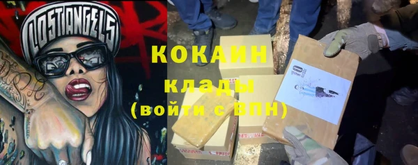 ПСИЛОЦИБИНОВЫЕ ГРИБЫ Горнозаводск